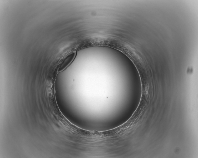 X0000094230964200711021159