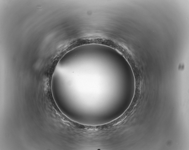 X0000094230965200711021159