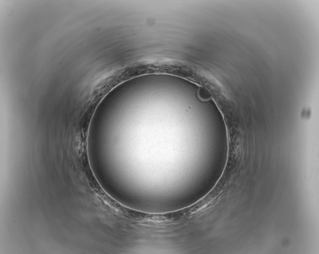 X0000094230966200711021159