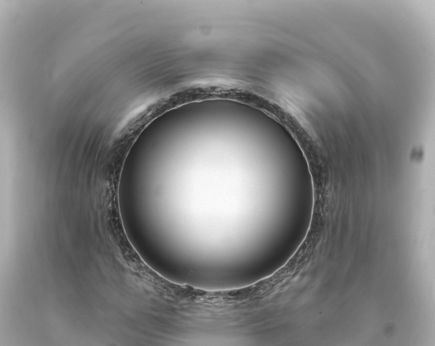 X0000094230967200711021159