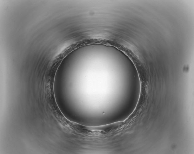 X0000094230968200711021159