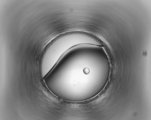 X0000094230969200711021159