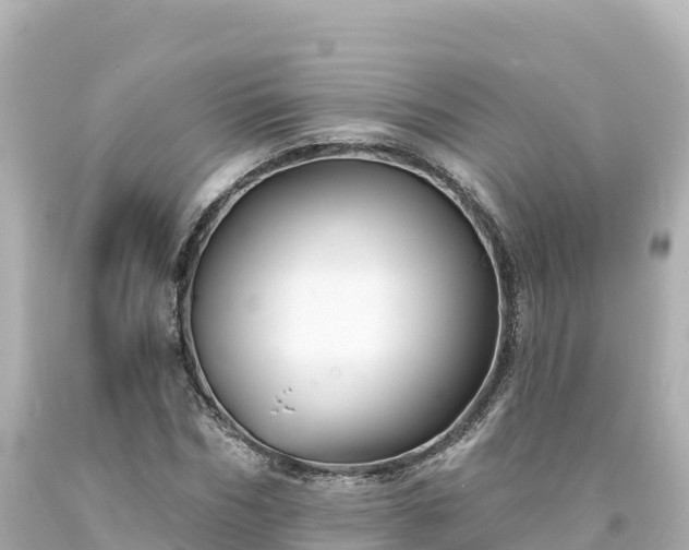 X0000094230970200711021159