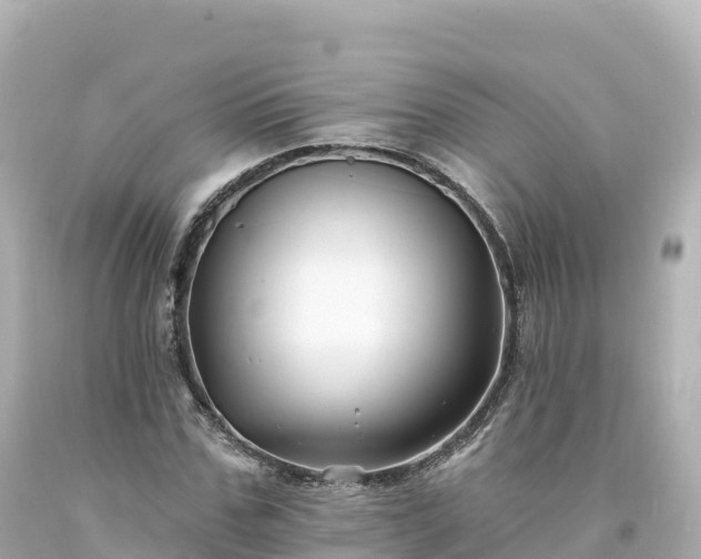 X0000094230971200711021159