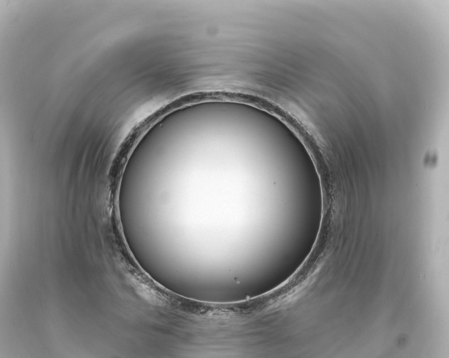 X0000094230974200711021159