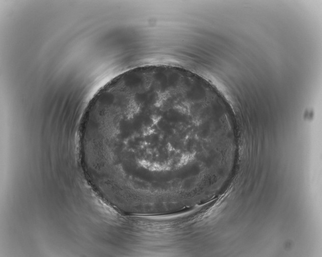 X0000094230975200711021159