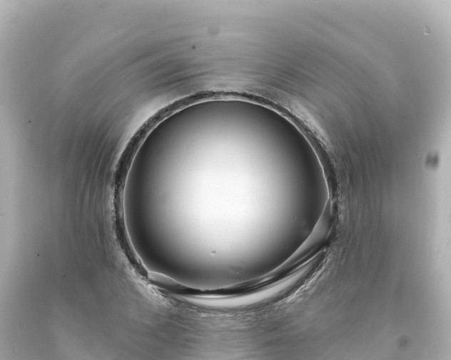 X0000094230976200711021159