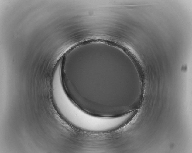 X0000094230977200711021159