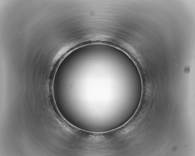 X0000094230978200711021159