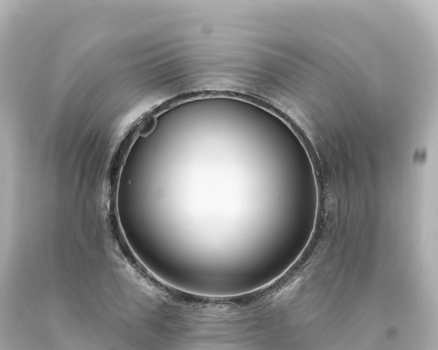 X0000094230979200711021159