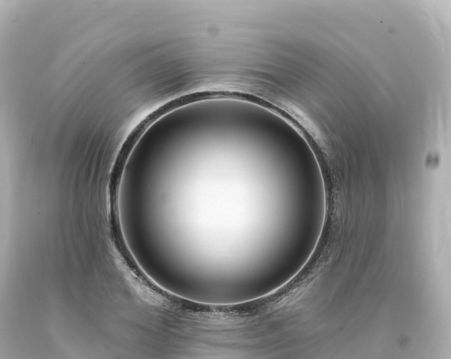 X0000094230980200711021159