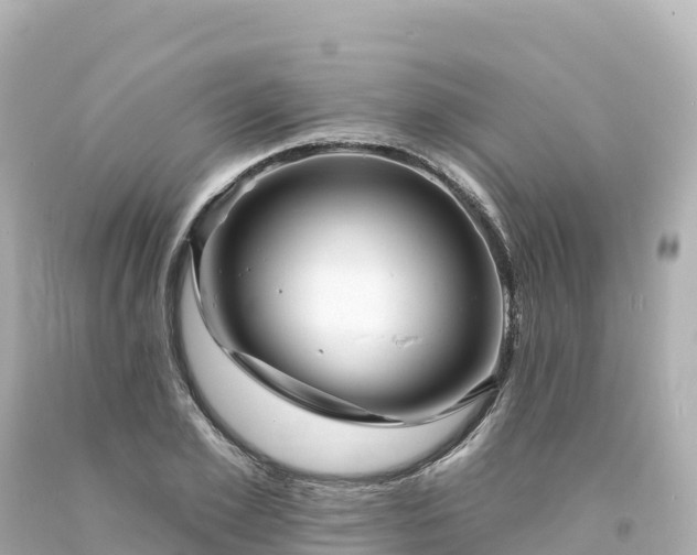 X0000094230981200711021159