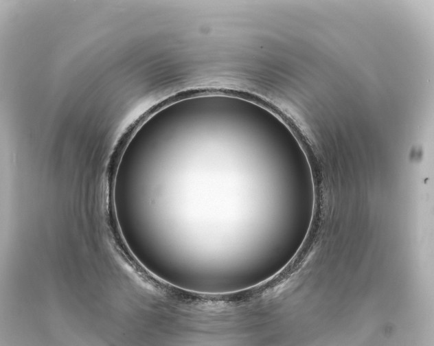 X0000094230982200711021159