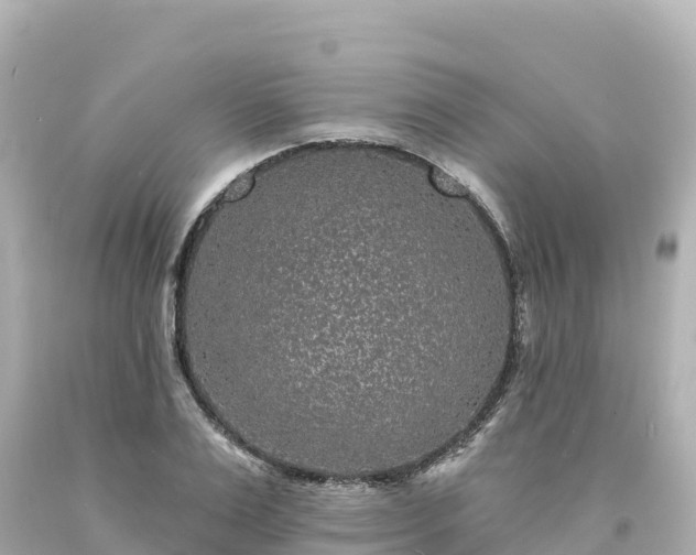 X0000094230983200711021159