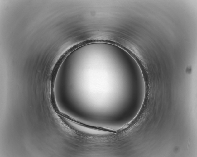 X0000094230984200711021159