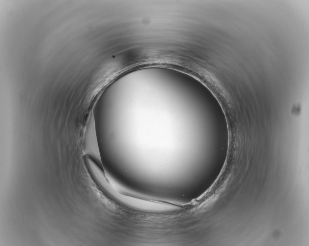 X0000094230985200711021159