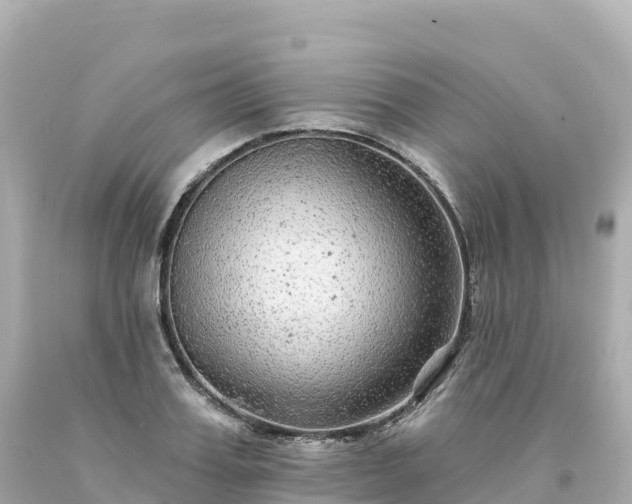 X0000094230987200711021159