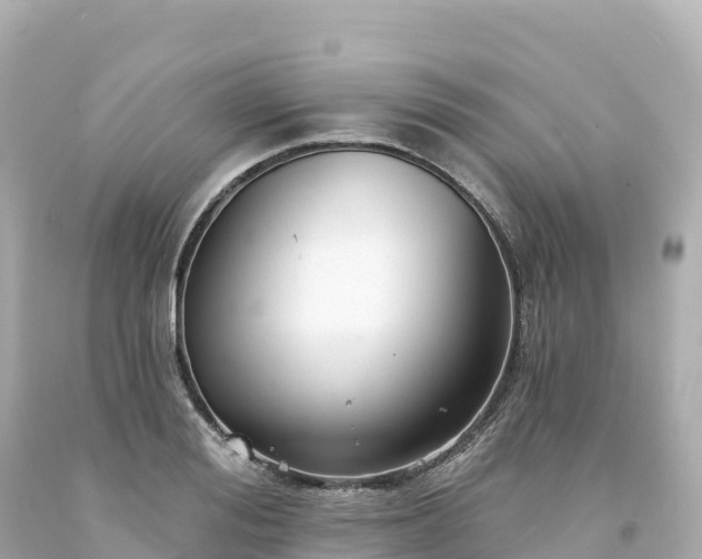 X0000094230988200711021159