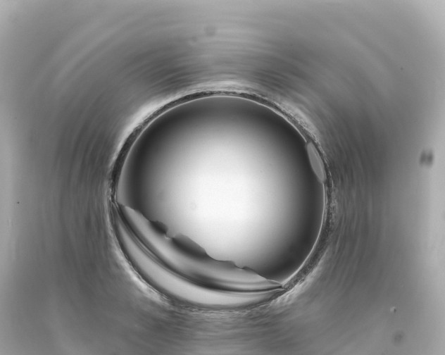 X0000094230989200711021159