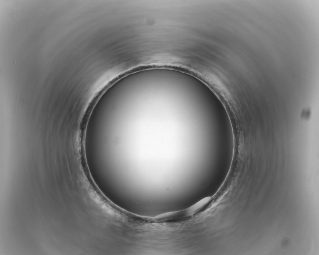 X0000094230990200711021159