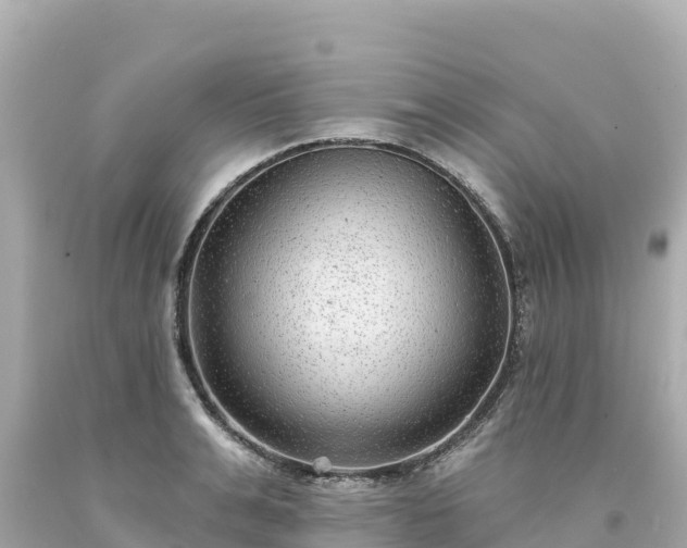 X0000094230991200711021159