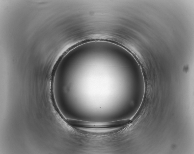 X0000094230992200711021159