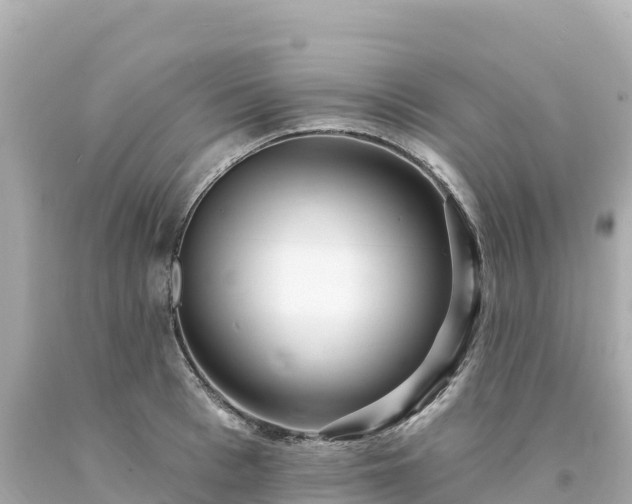 X0000094230993200711021159