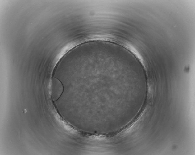 X0000094230994200711021159