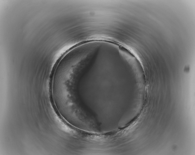 X0000094230995200711021159