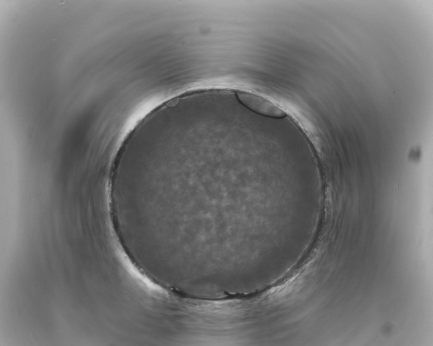 X0000094230998200711021159