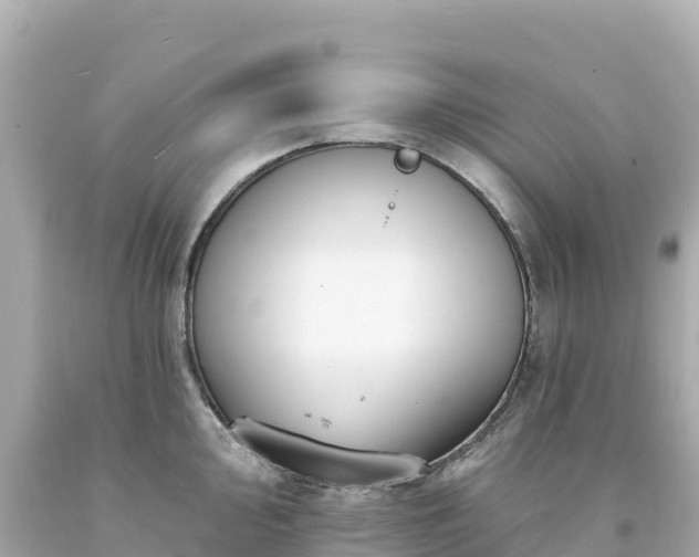 X0000094231000200711021158