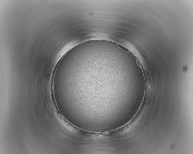 X0000094231002200711021158