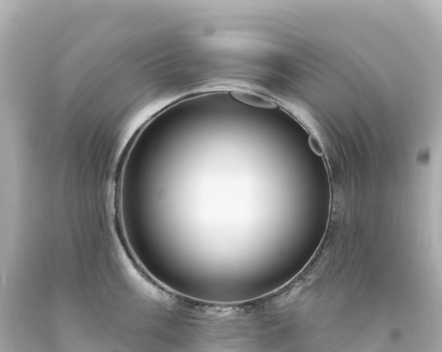 X0000094231003200711021158