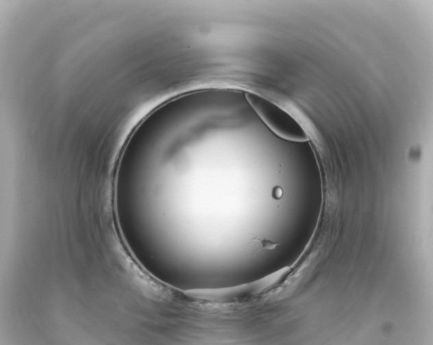 X0000094231004200711021158