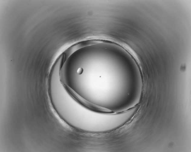 X0000094231005200711021158