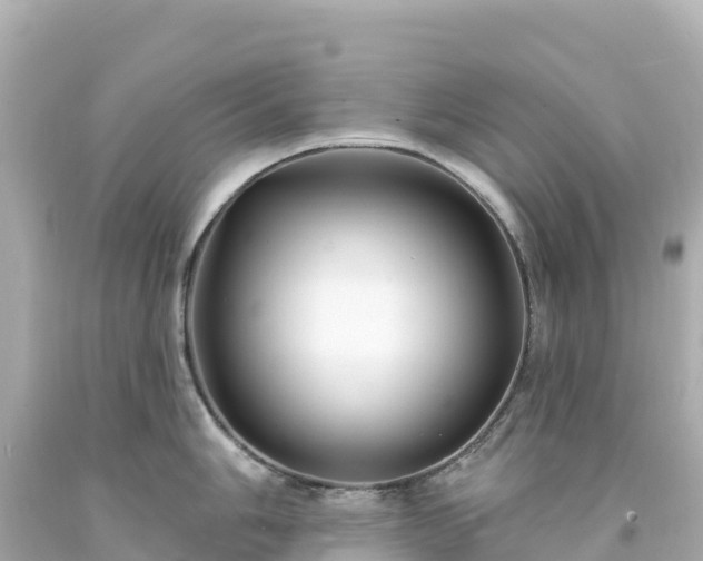 X0000094231006200711021158