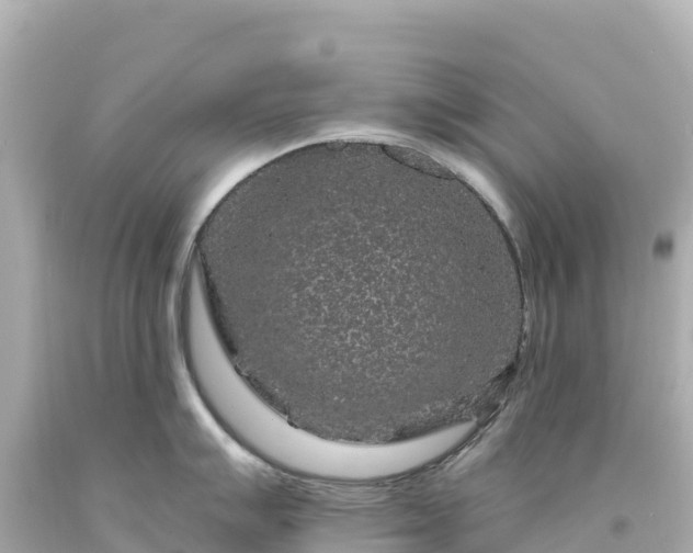 X0000094231007200711021158