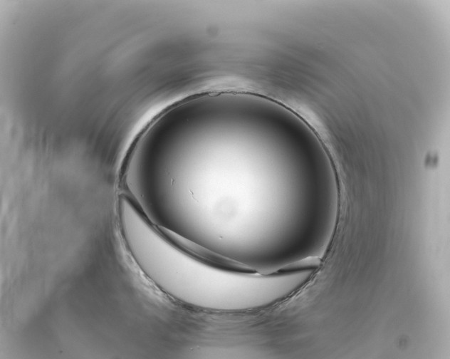 X0000094231008200711021158