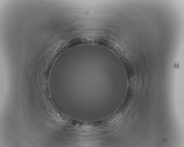 X0000094231009200711021158