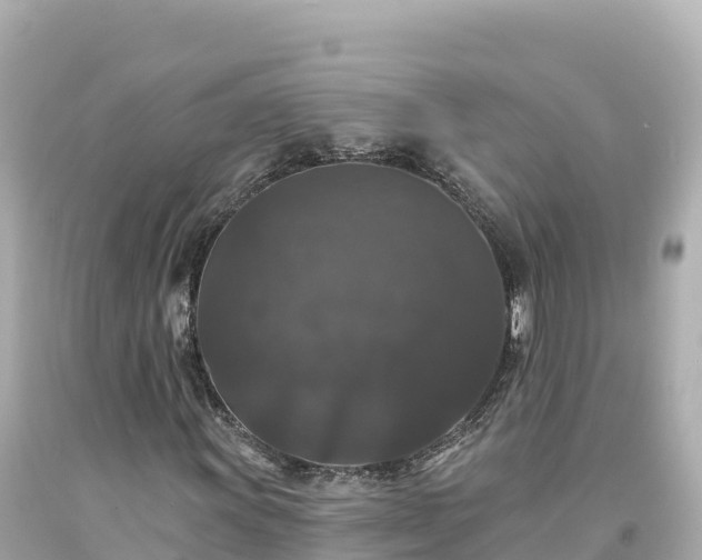 X0000094231011200711021158