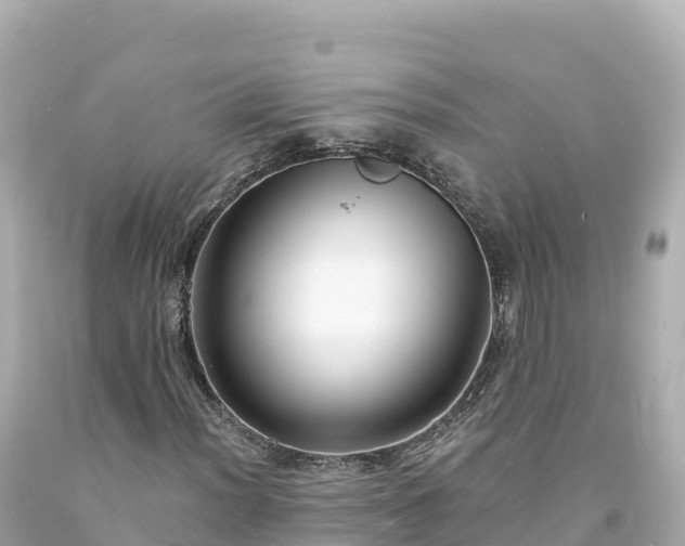 X0000094231012200711021158