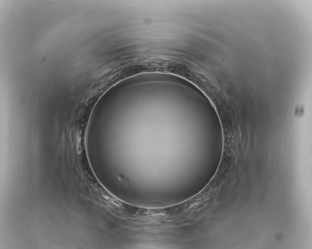 X0000094231013200711021158