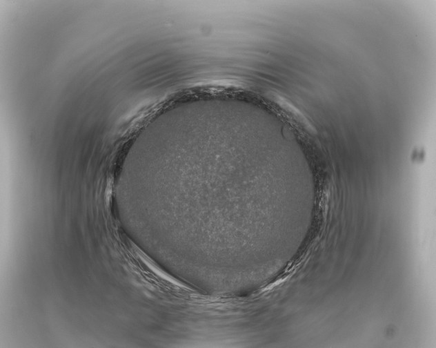 X0000094231014200711021158