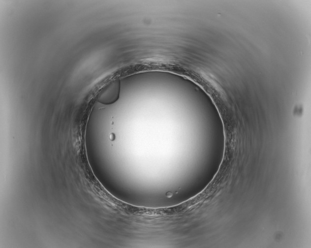 X0000094231015200711021158