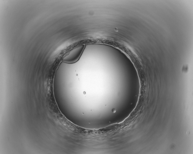 X0000094231016200711021158