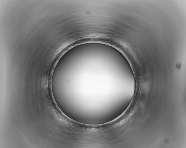 X0000094231017200711021158