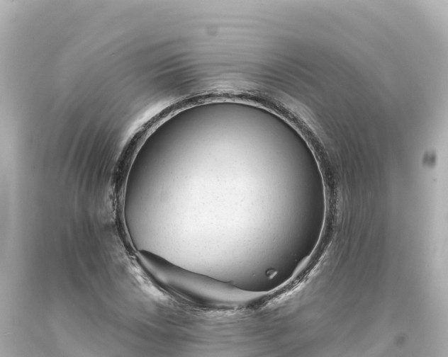 X0000094231018200711021158