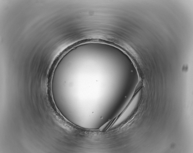 X0000094231020200711021158