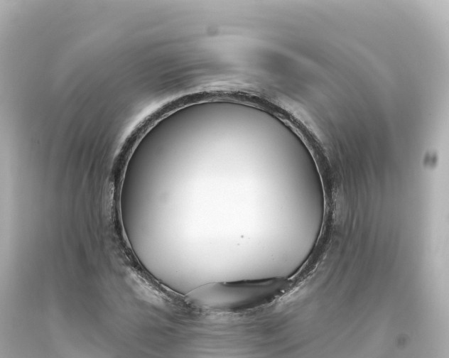 X0000094231021200711021158