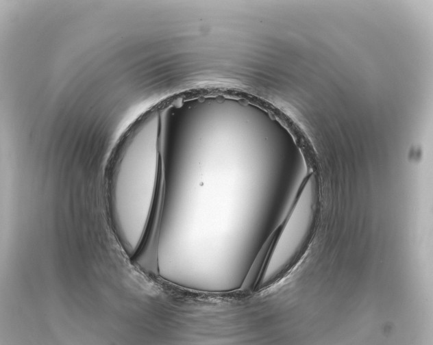 X0000094231022200711021158